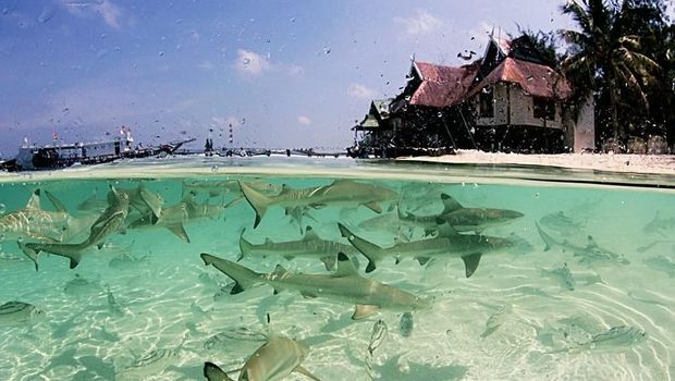 Pulau Tinabo