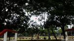 Syahdu! Sore di Taman Kota Waduk Pluit