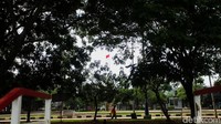 Sebelum ada alat gym, warga sekitar sudah memanfaatkan taman ini sebagai arena untuk berolahraga seperti senam, jogging, yoga dan lain-lain.