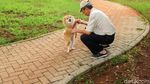 Syahdu! Sore di Taman Kota Waduk Pluit