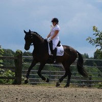 Natasha baru berusia 14 bulan ketika ia menderita mielitis transversal, virus yang menyebabkan kerusakan saraf permanen dan kelemahan parah di kakinya. Hal ini menyebabkan kedua kakinya tak bisa digerakkan dan memaksanya beraktivitas melalui kursi roda. Foto: Instagram @nbakerpararider