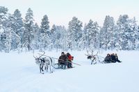 Cerita Backpacker Hunting Aurora di Tengah Virus Corona