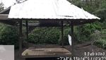 Larangan Kemping di Pos 2 Gunung Merbabu yang Sempat Banjir