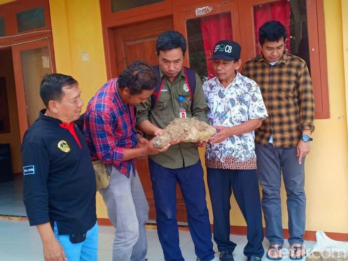 Warga Kabupaten Madiun menemukan tulang yang diduga fosil hewan purba. Tulang tersebut ditemukan pertama kali oleh Agus Setiawan (35) saat mencangkul lahan jagung.