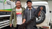 Rambut gimbal sepanjang sekitar 1,5 meter itu berwarna hitam dan tampak kusut. 