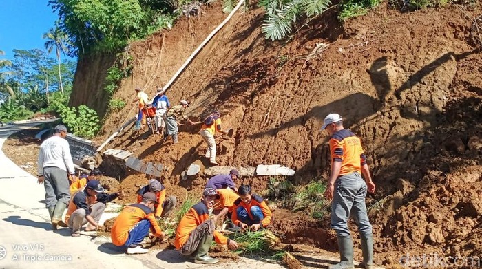 Pembibitan vetiver di kantor BPBD, dan penanaman vetiver di Desa Mlaya