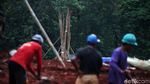 Pemprov DKI Tanam 573 Pohon Pengganti di Kawasan Monas