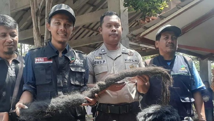 Relawan menunjukkan rambut gimbal Sukiyah yang jadi sarang tikus