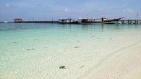 Pulau yang alami, bersih dan kerja sama antar warga membuat Pulau Tinabo jadi rumah bagi para hiu. (Ria Qorina/Istimewa)