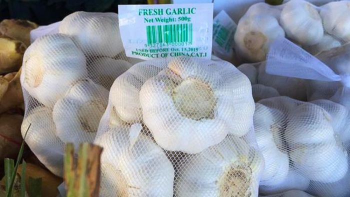 bawang putih china