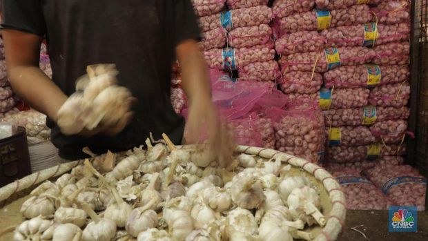 Pengumuman! Bawang Putih Impor China Segera Masuk RI