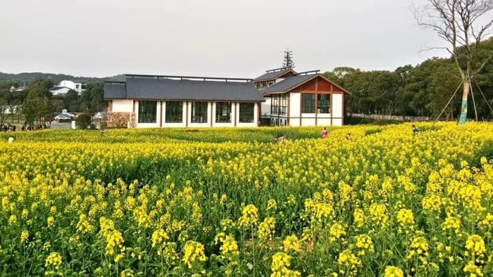 Wuhan