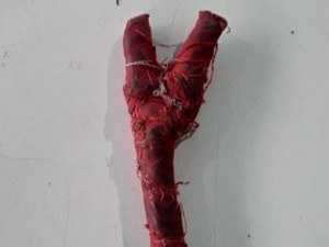 Peserta Tes CPNS Wajib Tahu! Bawa Jimat Bisa Langsung Dikeluarkan