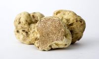 Orang Kaya di China Ternyata Doyan Banget Truffle Italia