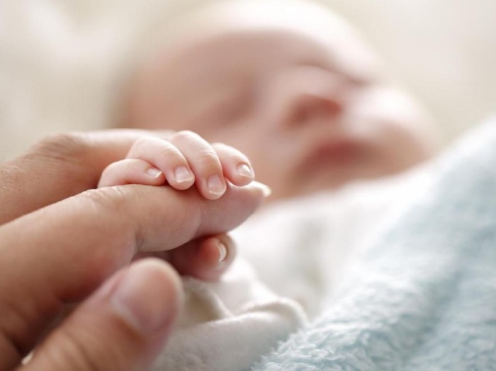 Ilustrasi. Foto: iStock Ilustrasi. Foto: iStock