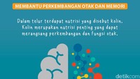 Telur membantu perkembangan otak dan memori - Dalam telur terdapat nutrisi yang disebut kolin. Kolin merupakan nutrisi penting yang dapat merangsang perkembangan dan fungsi otak.