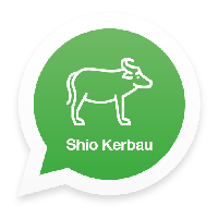 Bermacam Kebiasaan di WhatsApp Berdasarkan Shio, Kamu yang Mana?