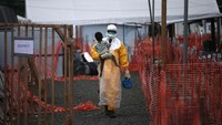 Jenis ebola reston tak membuat orang sakit. Tapi ebola bundibugyo punya angka kematian lebih dari 50% dan 71% untuk ebola sudan. Wabah terbesar ebola terjadi pada awal tahun 2014 di Afrika Barat. John Moore/Getty Images.