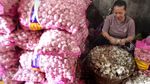 Harga Bawang Putih Terus Merangkak Naik