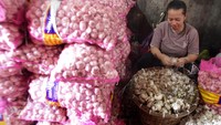Pekerja mengupas bawang putih impor dari China sebelum dijual ke pasar di Gudang bawang, Malang, Jawa Timur, Selasa (4/2/2020). Menipisnya pasokan bawang putih di pasaran akibat penghentian impor produk dari China terkait pencegahan penyebaran virus Corona, membuat harga komoditas tersebut melonjak hingga dua kali lipat yakni dari Rp 23.000 menjadi Rp 47.000 per kilogram. Antara Foto/Ari Bowo Sucipto.