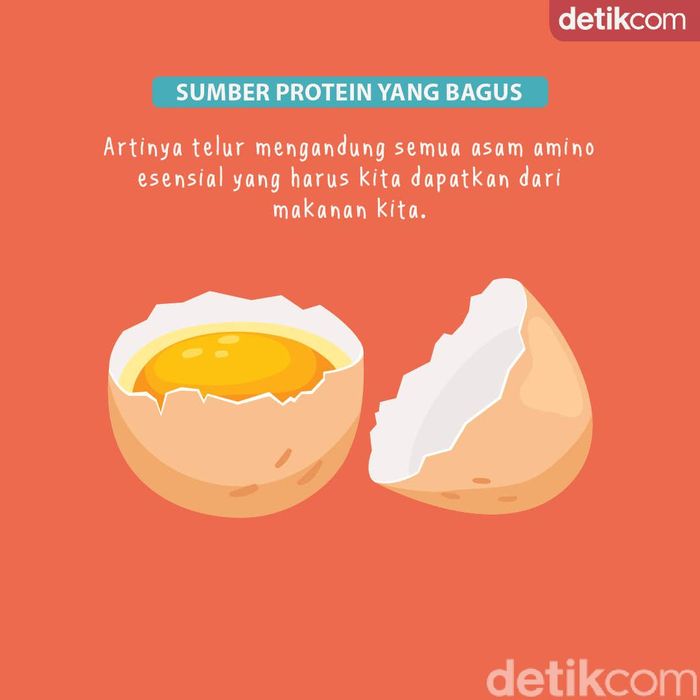 7 Alasan Kenapa Harus Sarapan Telur Pagi Ini Foto 4
