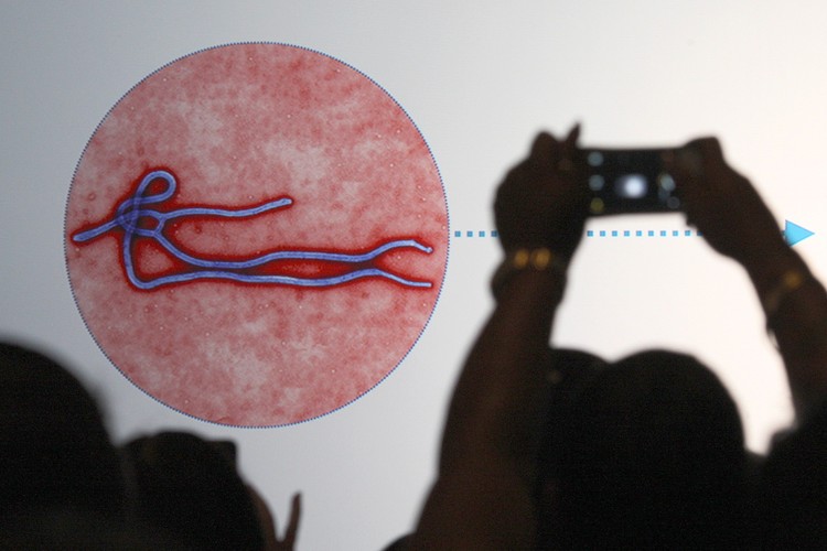 Wabah Penyakit Mematikan Sepanjang Sejarah Manusia Wabah virus corona menewaskan 563 orang dan menginfeksi puluhan ribu orang di dunia. Selain virus corona, berikut deretan wabah penyakit mematikan di dunia.