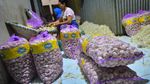 Harga Bawang Putih Terus Merangkak Naik