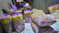 Kenaikan harga bawang putih juga terjadi di Pasar Bitingan, Kudus, Jawa Tengah. Harga bawang putih merangkak naik dari Rp 30 ribu menjadi Rp 50 ribu per kilogram. Antara Foto/Yusuf Nugroho.