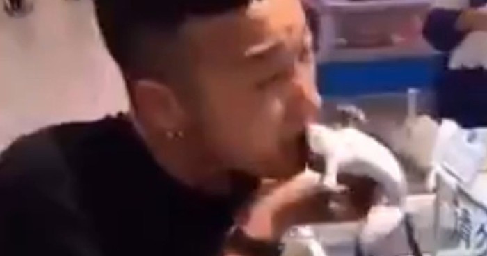 Virus Corona Video Viral