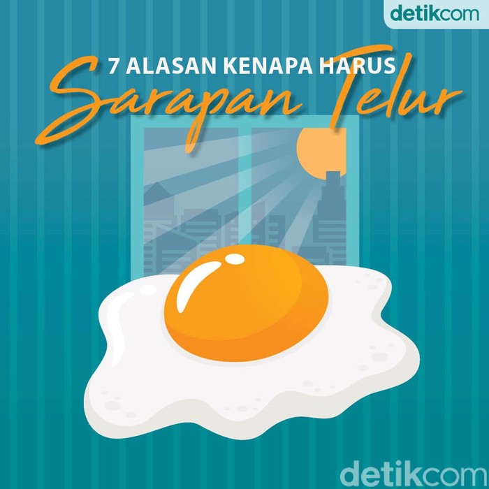 infografis sarapan telur