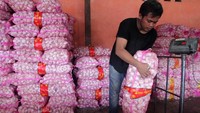 Harga bawang putih kembali meroket sejak akhir Januari hingga pekan awal Februari 2020. Hal ini disebabkan karena stok yang kian menipis di tangan pedagang pasar tradisional. Antara Foto/Ari Bowo Sucipto.