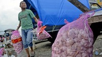 Pedagang membawa karung berisi bawang putih yang akan dijual di Pasar Minasa Maupa, Kabupaten Gowa, Sulawesi Selatan, Rabu (5/2/2020). Di pasar tersebut harga bawang putih naik dari Rp 20 ribu menjadi Rp 60 ribu per kilogram. Antara Foto/Abriawan Abhe.