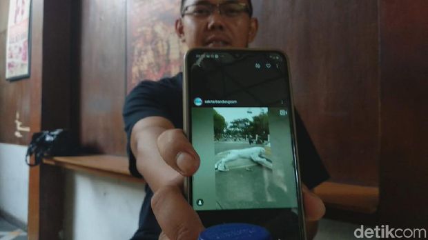 Patung Harimau di Bandung 'Loncat' Diduga Dirusak Orang Gila