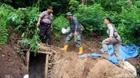 47 lubang tambang emas ditemukan tersebar di Gunung Tanjung dan Gunung Peti. Lubang itu ditemukan tersembunyi di perbukitan area tersebut.