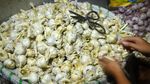 Harga Bawang Putih Terus Merangkak Naik