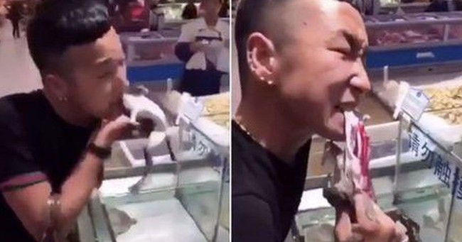 Virus Corona Mewabah, Video Makan Anjing dan Katak dari China Ini Viral