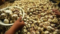 Meski impor bawang putih RI ke China cukup besar, Menteri Koordinator Bidang Perekonomian Airlangga Hartarto memastikan kenaikan harga bawang putih itu terjadi bukan karena terimbas wabah virus corona. Antara Foto/Asep Fathulrahman.
