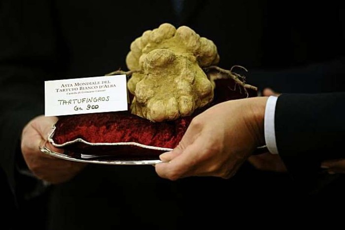 truffle