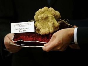 Bukan Hanya Selebriti, Orang Kaya di China Juga Doyan Jamur Truffle
