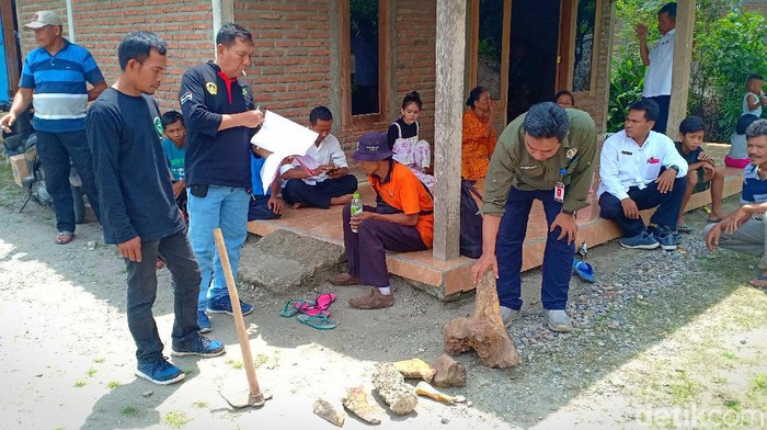 Warga Desa Sumberndo, Kecamatan Saradan, Kabupaten Madiun menemukan fosil banteng dan kudanil purba. Selain itu, warga juga menemukan fosil gajah serta kura-kura.