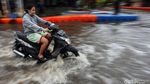 Aksi Nekat Pemotor Terobos Banjir di Tangerang