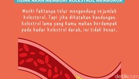 Meski faktanya telur mengandung sejumlah kolesterol. Tapi jika dikatakan kandungan kolestrol lama yang kamu makan berdampak pada kadar kolestrol darah, ini tidak benar. 