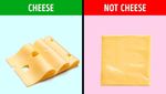 Ikuti 10 Tips Ini untuk Kenali Keju hingga Telur Berkualitas