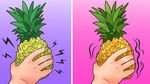 Ikuti 10 Tips Ini untuk Kenali Keju hingga Telur Berkualitas