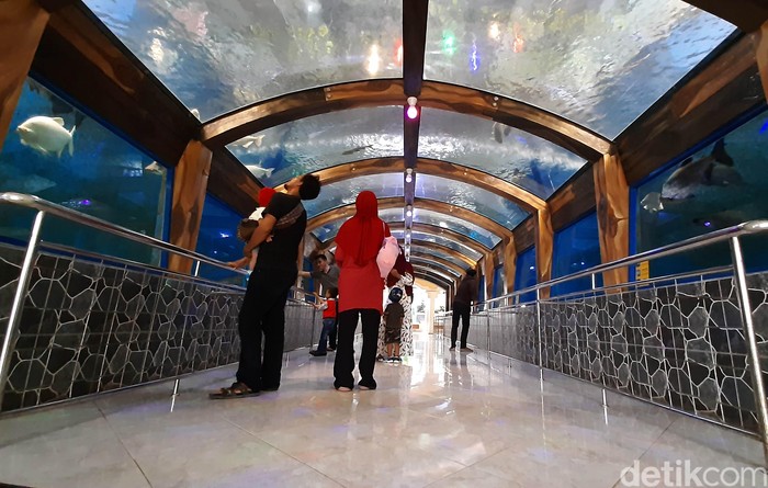 Taman Wisata Pendidikan Purbasari Pancuran Mas Taman Wisata Pendidikan Purbasari Pancuran Mas di Purbalingga jadi pilihan menarik habiskan akhir pekan. Di sana pengunjung juga mendapat edukasi tentang satwa.