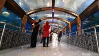 Sejumlah pengunjung tengah asyik melihat bermacam-macam ikan yang berada di akuarium di Taman Wisata Pendidikan (TWP) Purbasari Pancuran Mas, Purbalingga, Jawa Tengah.