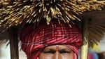 Tradisi Jerami Pembawa Berkah di Nepal
