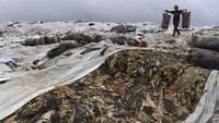 Pemulung melintas di atas tumpukan sampah yang telah ditutup dengan plastik.