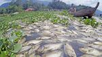 63 Ton Ikan Keramba di Sumbar Mati Akibat Angin Kencang