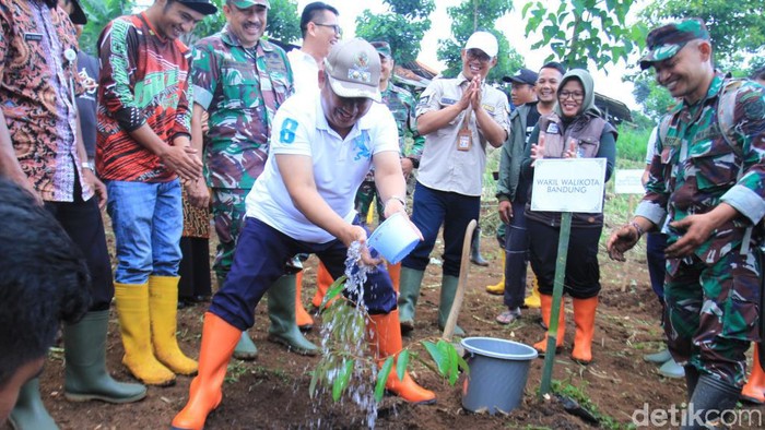 Wakil Wali Kota Bandung yana mulyana tanam pohon Wakil Wali Kota Bandung yana mulyana tanam pohon
